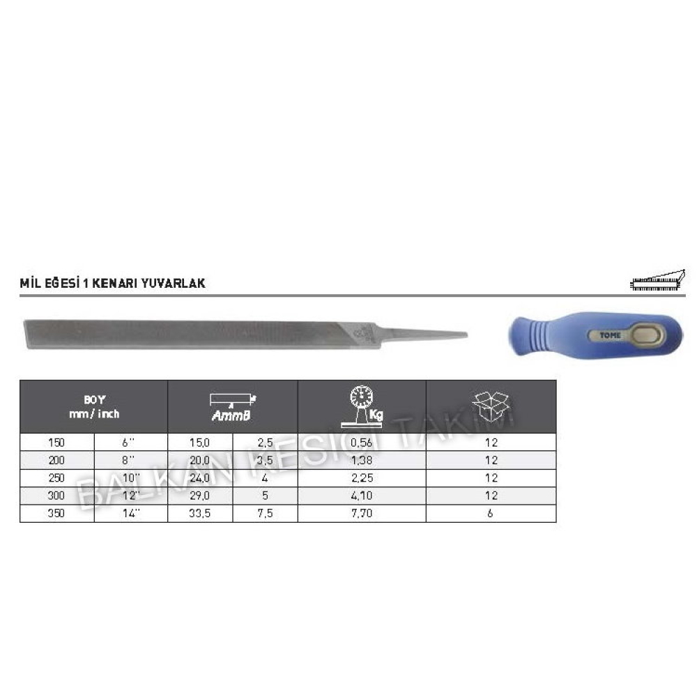 Tome 1 Kenarı Yuvarlak Mil Eğesi 250mm